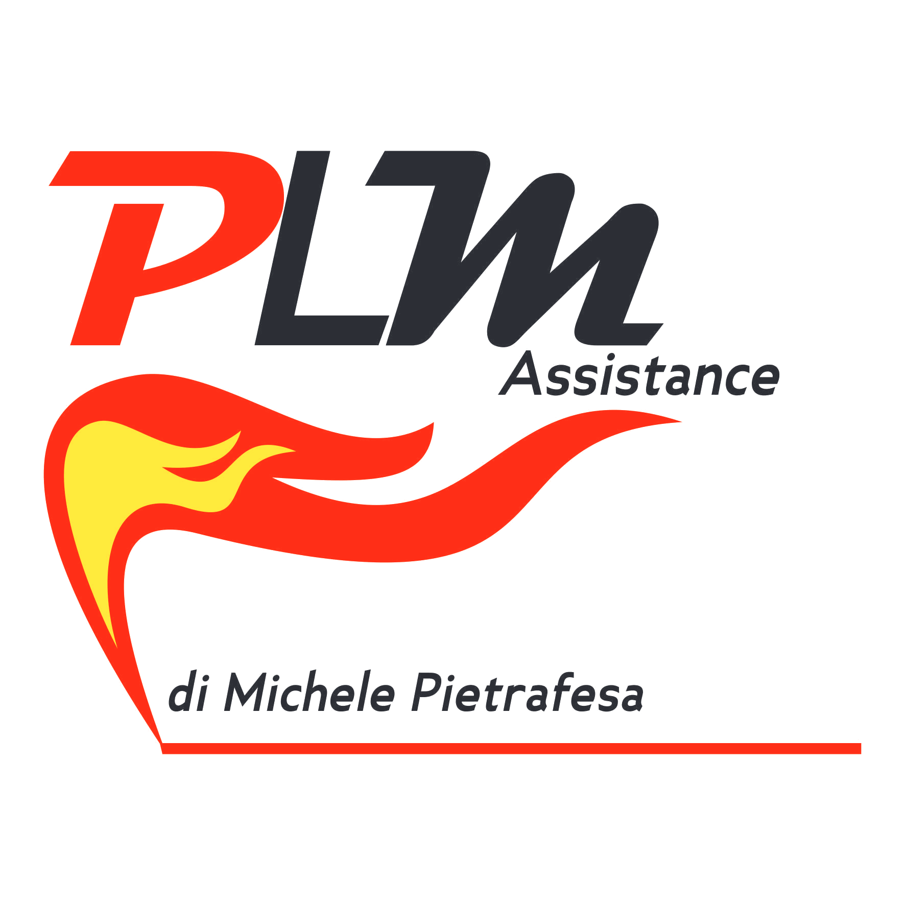 PLM Assistance di Michele Pietrafesa
